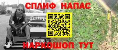 ECSTASY Будённовск