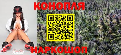 ECSTASY Будённовск