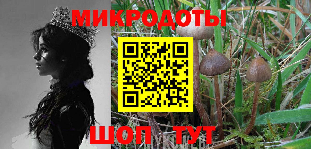 Псилоцибиновые грибы MAGIC MUSHROOMS  Вход с VPN  где купить наркоту  Истра 
